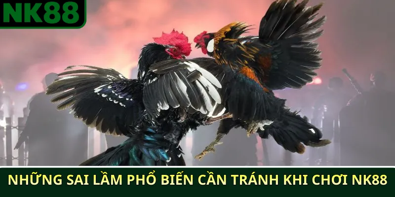 Những chiến thuật chiến thắng đá gà phổ biến tại NK88 4 Những sai lầm phổ biến cần tránh khi chơi NK88