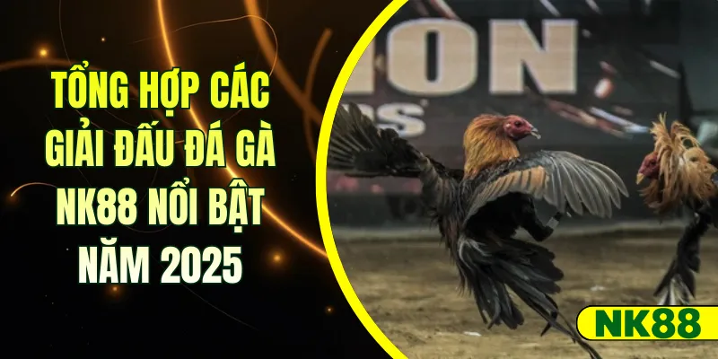 Tổng hợp các giải đấu đá gà NK88 nổi bật năm 2025
