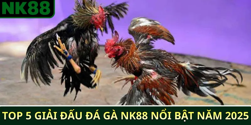 Tổng hợp các giải đấu đá gà NK88 nổi bật năm 2025 3 Top 5 giải đấu đá gà NK88 nổi bật năm 2025